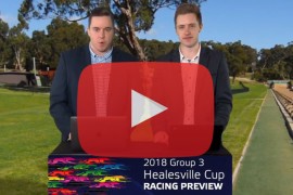 2018 Group 3 Healesville Cup Preview