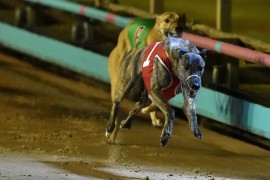 Sprint rivals in return Speed Star match-up