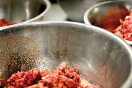 Raw meat-based diets: Things to consider