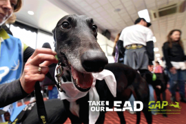 Take our lead when the muzzles come off