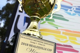 The Inside Word – 2018 Group 3 Healesville Cup