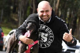 Healesville Cup favourite a raw talent