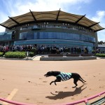 066  Race 7