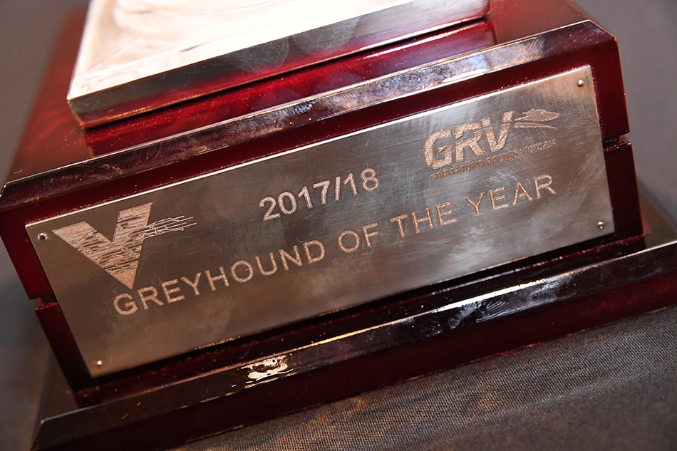 2017-2018 Greyhound of the year