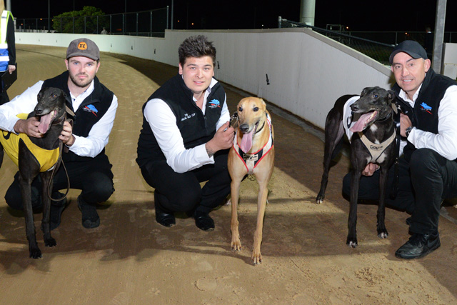 ):  Geelong Cup placegetters (from left) Wise Ricciardo with handler Damon Donnelly, Orson Allen with trainer Correy Grenfell and Aston Kimetto with Jason Thompson.