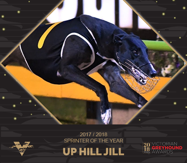 Up Hill Jill