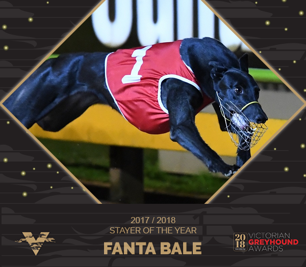 Fanta Bale Fanta Bale