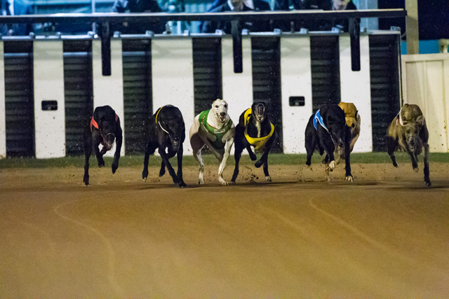 The Topgun field charges out of the boxes and into the first turn.