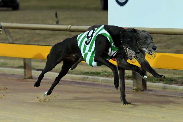 My Bro Kade takes out the Ballarat Cup Consolation for trainer Anthony Azzopardi as the second reserve