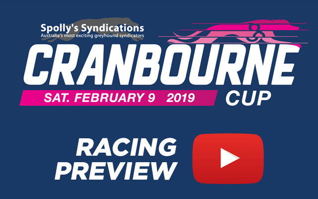 2019 Group 2 Cranbourne Cup Preview