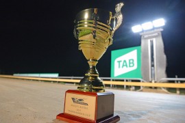 The Inside Word: 2019 Macey’s Bistro Warrnambool Cup