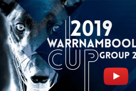 2019 Macey’s Bistro Warrnambool Cup Preview