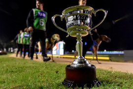 RSN Sandown Cup box draw complete