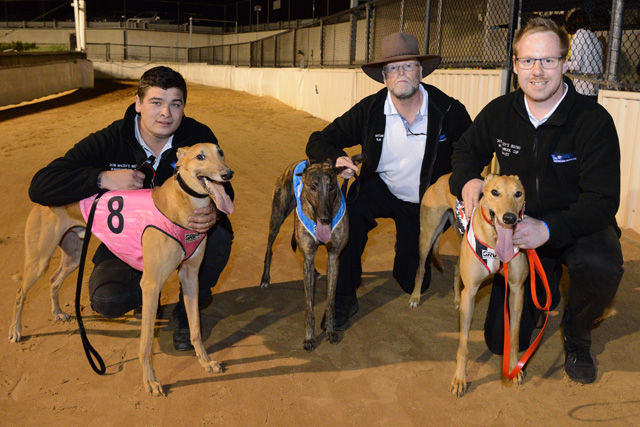 Warrnambool Cup placegetters Dyna Patty (centre), Orson Allen (left) and Crimson Vixen with their respective handlers.
