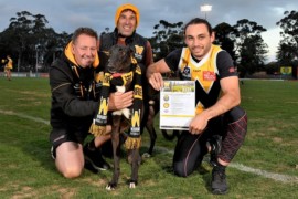 Longwood Cup: New buzz around coursing