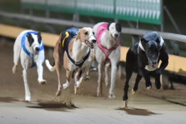 Hybrid race meetings – 7 June onwards