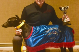 Longwood Cup: Bees still burning bright