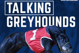 Talking Greyhounds