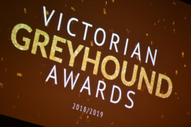 2019 VGAs – All the recipients