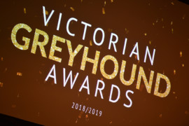 Greyhound racing – something to be proud of