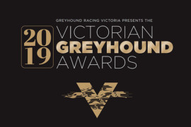 Battle royale for Victorian GOTY