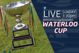Waterloo Cup this weekend!