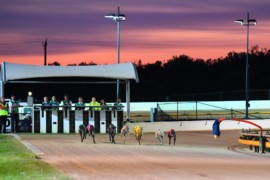 Geelong Derby and Oaks Bonus