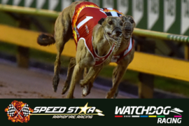 Speed Star: Detailed analysis from The Watchdog