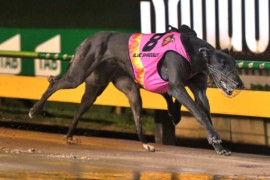 Shadows’ sights on Tornado turnaround