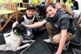 They’ll be lining up to see the Show-stopping greyhounds