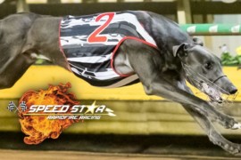 Scene set for Speed Star IX