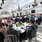 2019 Melbourne Cup Lunch Greyhound Racing 03