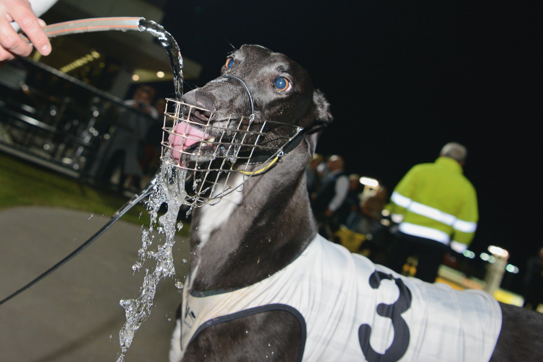 Hydration