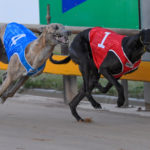 Snags McKenzie defeats Whiskey Riot_