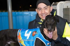 Thompson’s megastars ‘on the mend’
