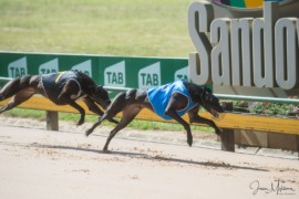 Mandalorian facing Cranbourne Cup test