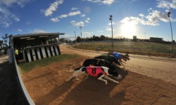 2020 Group 2 Locks Construction Horsham Cup heats