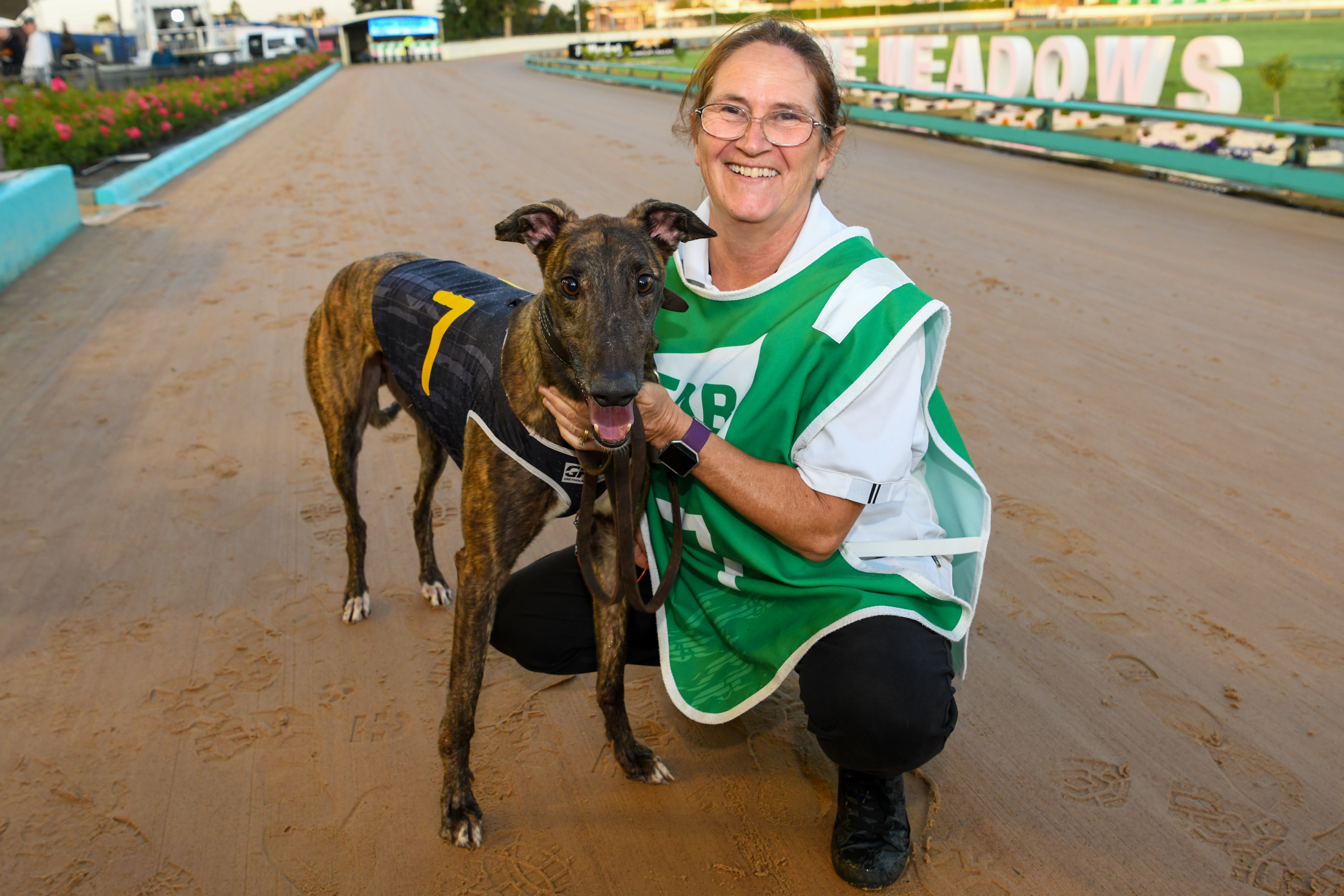 Wheeling Dog Track Race Results