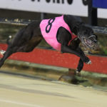 Annie Lava wins the Victoria Cup