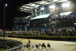 TAB Australian Cup – a great night for all