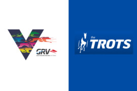 Greyhounds, trots in new Saturday morning timeslot