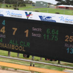 2020 TAB Warrnambool Cup Heats Greyhound Racing Race 4 (10)