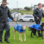 2020 TAB Warrnambool Cup Heats Greyhound Racing Race 5 (15)