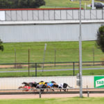 2020 TAB Warrnambool Cup Heats Greyhound Racing Race 6 (19)