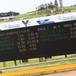 2020 TAB Warrnambool Cup Heats Greyhound Racing Race 7 (9)