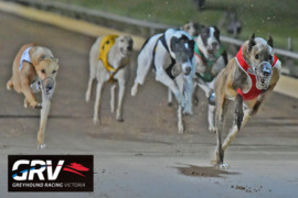 Upcoming ‘extra’ race meetings June 1-9