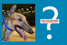 Calling all quizmasters