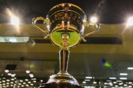 A case for and against each RSN Sandown Cup runner