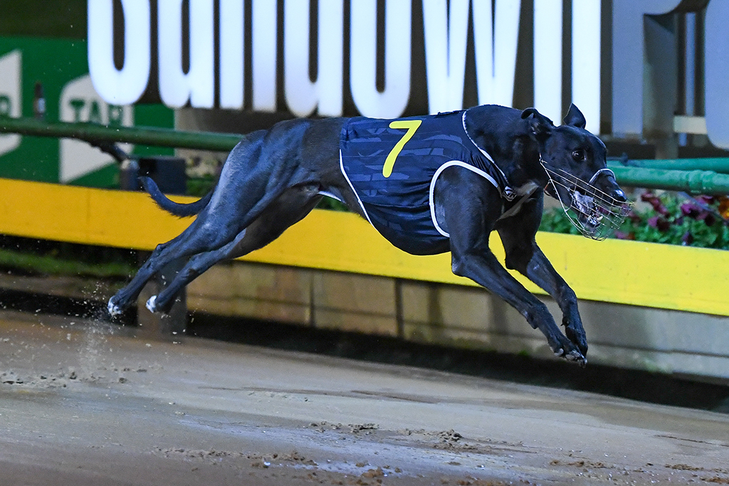 Perfect Beat For Bronski