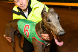 The story to read and interview to listen to before tonight’s RSN Sandown Cup